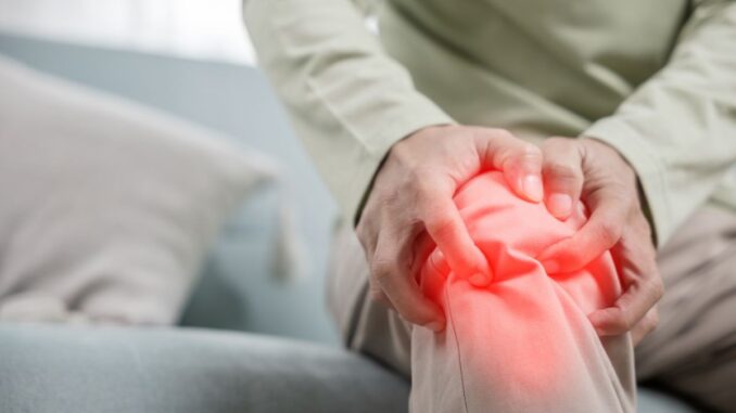 phytomedica soins naturels pour soulager les douleurs articulaires et les jambes lourdes